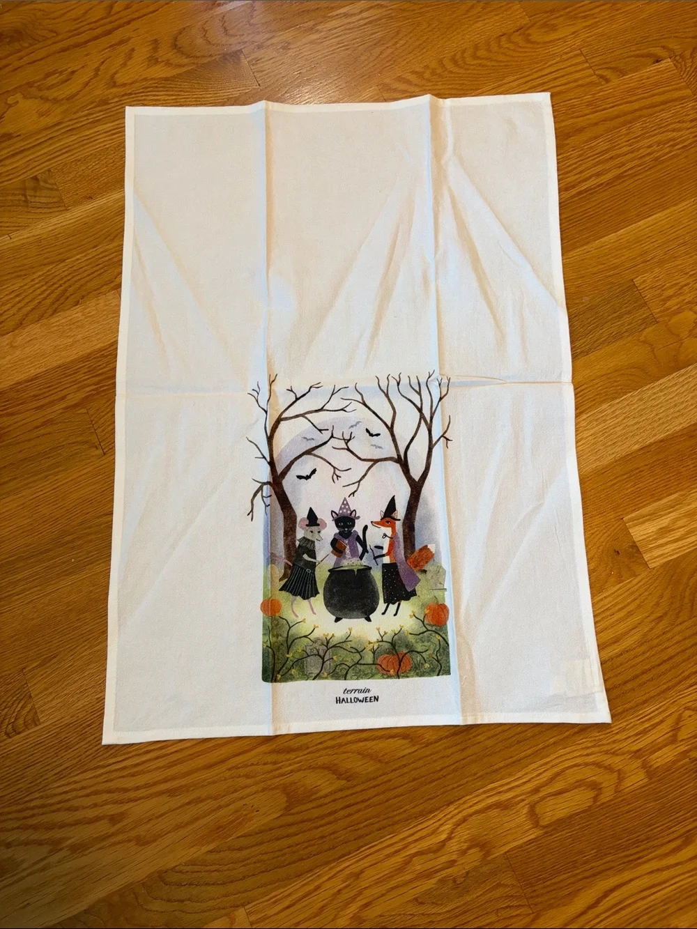 Anthropologie Terrain Witchy Critters Cotton Dish Towel Halloween NEW
